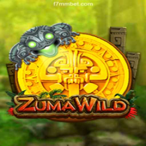 ZumaWild: An In-Depth Exploration of Brazil's Top Betting Platform